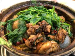 渝君家雞煲-渝君重庆火锅(嘉宾路店)
