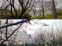 -大宁公园
