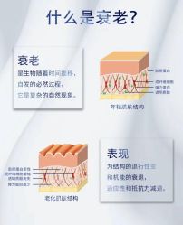 -克丽缇娜