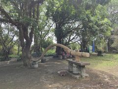 -海口火山口国家地质公园