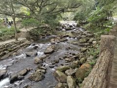 -广州市石门国家森林公园