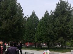 -大雁塔北广场音乐喷泉