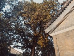 -红螺寺