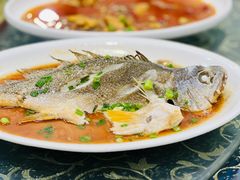 -梅子大排档