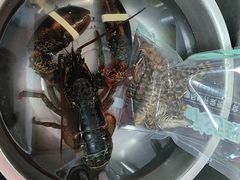 -广达眼镜炖罐(广达店)