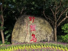 -野狸岛