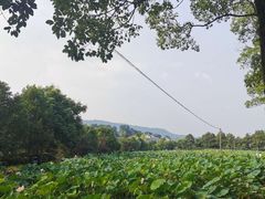 -韶山毛泽东同志故居