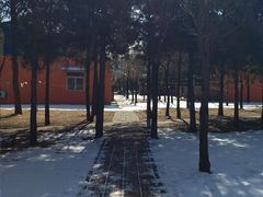 -中国政法大学(昌平校区)