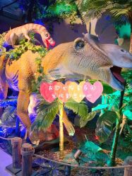 -恐龙探索乐园(磁器口店)