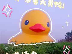 -深圳人才公园