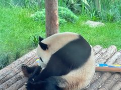 -大连森林动物园