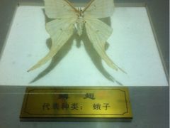 iphone_upload_pic-上海昆虫博物馆