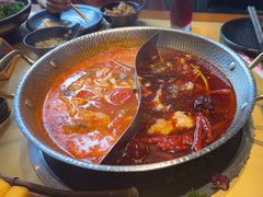 -手选潮汕鲜活牛肉火锅(二七广场店)