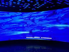 -同济大学四平路校区深海探索馆