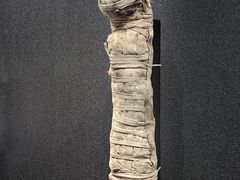 -遇见博物馆(遇见海洋沉浸式奇幻光影展)