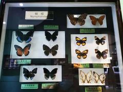 -上海昆虫博物馆