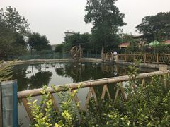 -江边湾柴火鸭