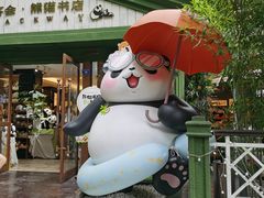 -轩客会(熊猫书店)