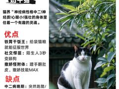 -哆趣宠物医院·眼科·内镜·急重症转诊中心(上海店)