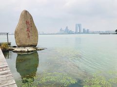 -金鸡湖桃花岛