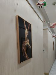 -CICI纤美·科技减肥美容