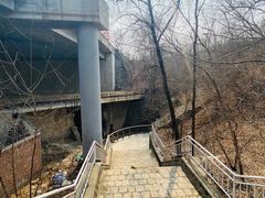 -白水寺森林公园