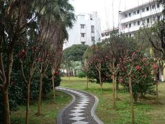 -广西师范大学(育才校区)