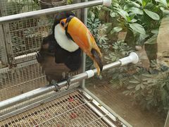 -南宫五洲植物乐园