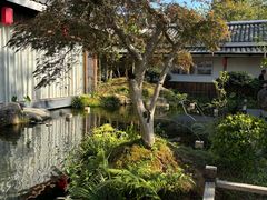 -凤凰山斑鱼馆(恭城店)