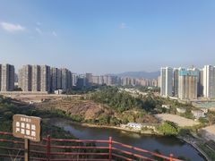 -大亚湾红树林城市湿地公园