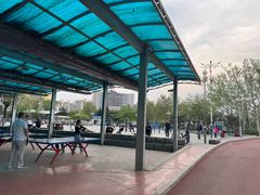 -滨河世纪广场公园