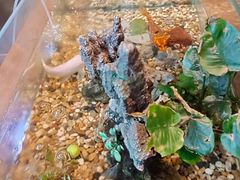-新盈光·旗舰店(海曙苍松路店)