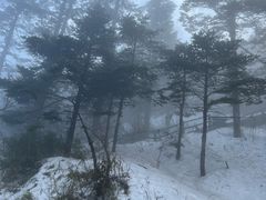 -峨眉山风景名胜区