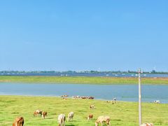 -东关回民小吃一条街(颍河西路店)