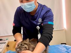 -美联众合动物医院·24h京西诊疗中心