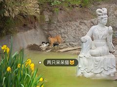 -抱犊寨风景区