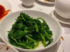 五粮液嫩豆苗-玫瑰厅上海菜(兴国路店)