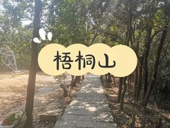 -梧桐山风景名胜区