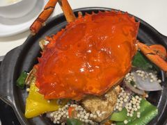 金香胡椒蟹-辉记海鲜美食(氹仔店)