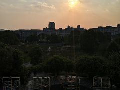 -浙江越秀外国语学院