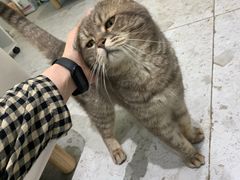 -天使咖啡(兴新街店)