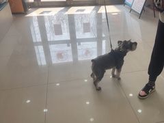 -天宠宠物医院24小时·急重症诊疗中心·全科·腔镜特色(和平分院)