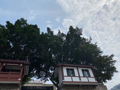 -白帝城·瞿塘峡景区