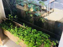 -無用生活空间(北京店)