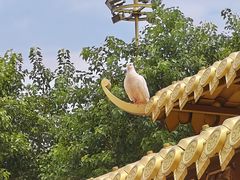 -广州莲花山旅游区