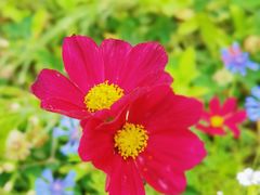 -贡湖湾湿地公园