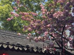 -枫桥景区