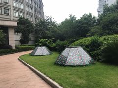 -圣雷克大酒店