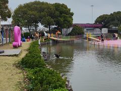-苏州太湖西山岛开心农场