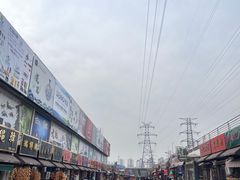 -中环花鸟鱼虫市场